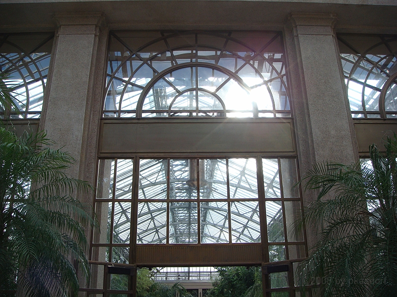 239 Longwood Gardens [2008 August 23].JPG - Longwood Gardens in Pennsylvania